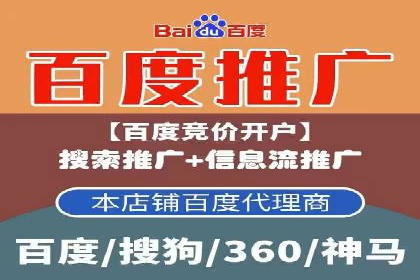 百度推广公司案例解析：如何通过百度推广实现品牌升级